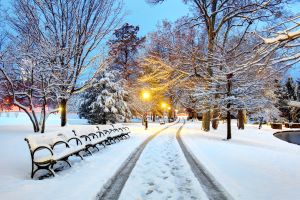 Snow covered park